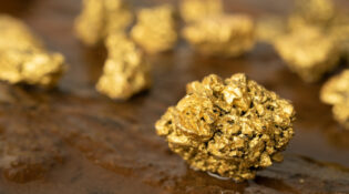 High-grade gold assays at Crown Prince Prospect