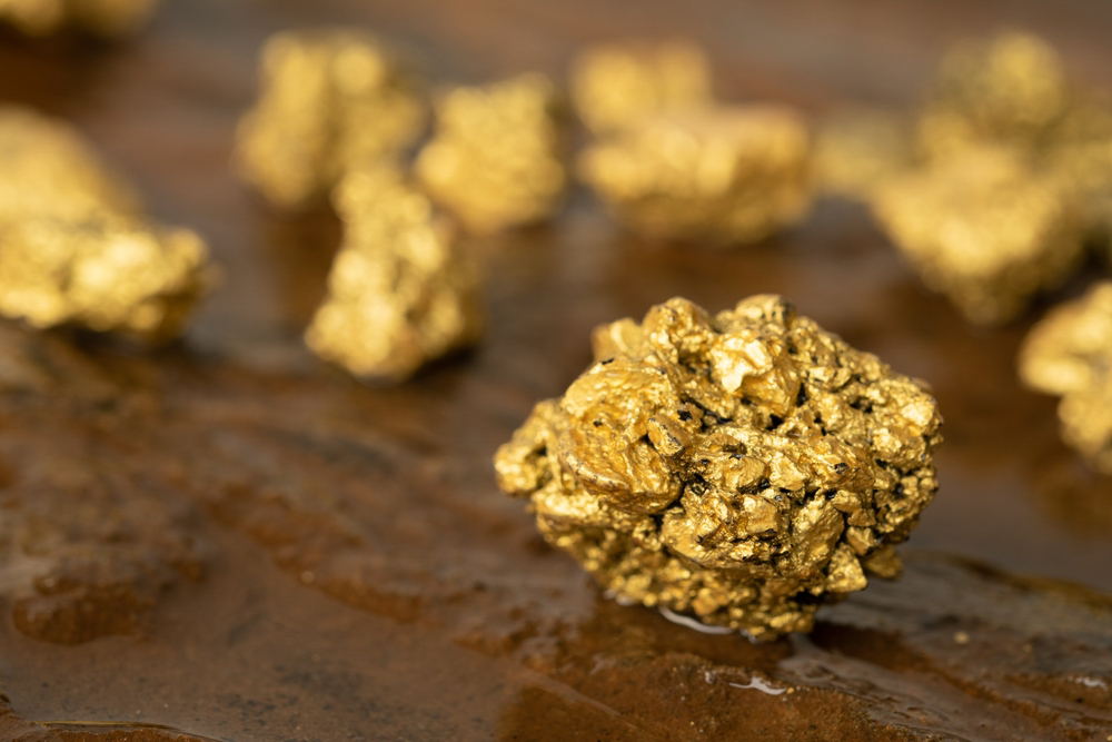High-grade gold assays at Crown Prince Prospect