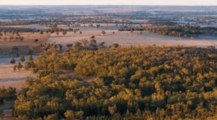 Australian government boosts support for Dubbo rare earths project