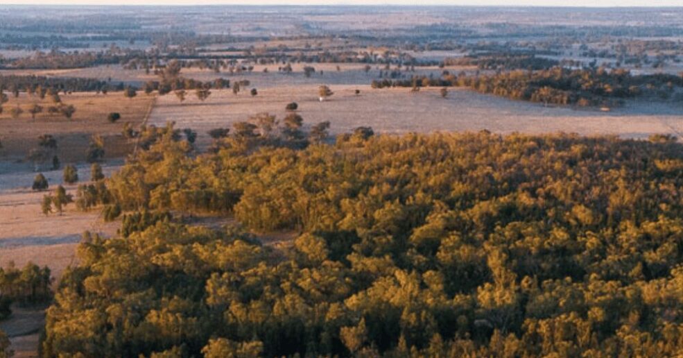 Australian government boosts support for Dubbo rare earths project