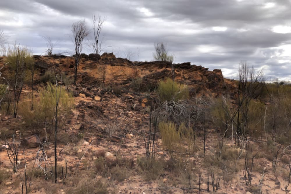 Nimy Resources discovers extensive multi-metal anomaly
