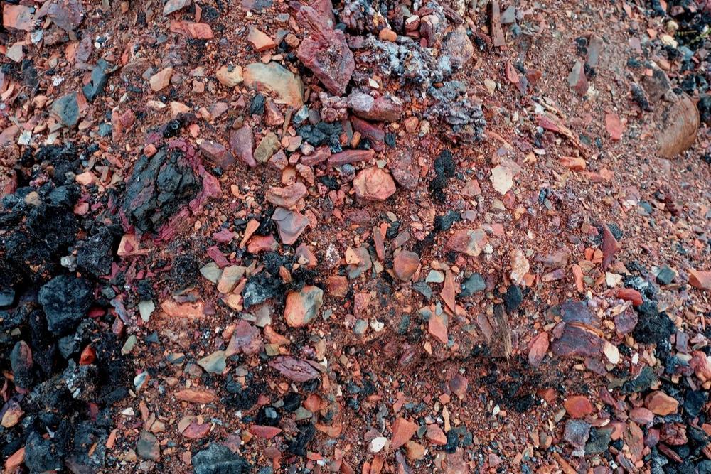 Coal ash transformed into valuable rare earths